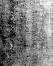 DE5580-Musms74_13 - Typ:0 - ID: 147693 - Eintrag Nr.: 73 Wasserzeichen DE5580-Musms74_13