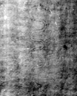 DE5580-Musms75_I - Typ:0 - ID: 147703 - Eintrag Nr.: 75 Wasserzeichen DE5580-Musms75_I
