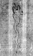 DE5580-Musms511_21 - Typ:0 - ID: 147759 - Eintrag Nr.: 78 Wasserzeichen DE5580-Musms511_21