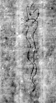 DE5580-Musms516_43 - Typ:0 - ID: 147771 - Eintrag Nr.: 79 Wasserzeichen DE5580-Musms516_43