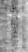 DE5580-Musms516_82 - Typ:0 - ID: 147772 - Eintrag Nr.: 80 Wasserzeichen DE5580-Musms516_82