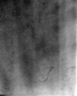 DE5580-Musms2746_I - Typ:0 - ID: 147821 - Eintrag Nr.: 2 Wasserzeichen DE5580-Musms2746_I
