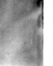 DE5580-Musms2751_1 - Typ:0 - ID: 147845 - Eintrag Nr.: 5 Wasserzeichen DE5580-Musms2751_1