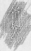 DE2130-B125_Vorsatz - Typ:0 - ID: 147901 - Eintrag Nr.: 12 Wasserzeichen DE2130-B125_Vorsatz