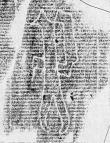 DE2130-B22_117 - Typ:0 - ID: 147969 - Eintrag Nr.: 8 Wasserzeichen DE2130-B22_117