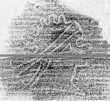 DE2130-B39_7 - Typ:0 - ID: 148031 - Eintrag Nr.: 96 Wasserzeichen DE2130-B39_7