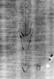 DE5580-Musms3154_126 - Typ:0 - ID: 148097 - Eintrag Nr.: 123 Wasserzeichen DE5580-Musms3154_126
