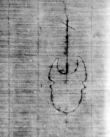 DE5580-Musms3154_360 - Typ:0 - ID: 148122 - Eintrag Nr.: 148 Wasserzeichen DE5580-Musms3154_360