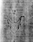 DE5580-Musms3154_377 - Typ:0 - ID: 148125 - Eintrag Nr.: 55 Wasserzeichen DE5580-Musms3154_377