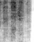 DE5580-Musms3154_469 - Typ:0 - ID: 148143 - Eintrag Nr.: 51 Wasserzeichen DE5580-Musms3154_469