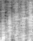 DE5580-2Muspr23Beibd1_88 - Typ:0 - ID: 148235 - Eintrag Nr.: 81 Wasserzeichen DE5580-2Muspr23Beibd1_88