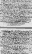 DE2130-B145_151r - Typ:0 - ID: 148405 - Eintrag Nr.: 144 Wasserzeichen DE2130-B145_151r