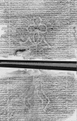 DE2130-B145_Ir - Typ:0 - ID: 148412 - Eintrag Nr.: 146 Wasserzeichen DE2130-B145_Ir