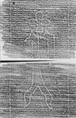 DE2130-B145_124v - Typ:0 - ID: 148418 - Eintrag Nr.: 147 Wasserzeichen DE2130-B145_124v