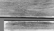 DE2130-B150_147v - Typ:0 - ID: 148447 - Eintrag Nr.: 251 Wasserzeichen DE2130-B150_147v