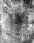 DE5580-Musms3154_214 - Typ:0 - ID: 148460 - Eintrag Nr.: 83 Wasserzeichen DE5580-Musms3154_214