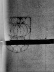 Wasserzeichen DE5580-Clm11943_53