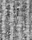 DE5580-Musms71_15 - Typ:0 - ID: 148958 - Eintrag Nr.: 84 Wasserzeichen DE5580-Musms71_15