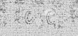 DE0960-BachP1017_34 - Typ:0 - ID: 149380 - Eintrag Nr.: 169 Wasserzeichen DE0960-BachP1017_34