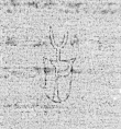 DE0960-BachSt354_30 - Typ:0 - ID: 149437 - Eintrag Nr.: 68 Wasserzeichen DE0960-BachSt354_30