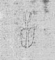 DE0960-BachSt354_89 - Typ:0 - ID: 149439 - Eintrag Nr.: 70 Wasserzeichen DE0960-BachSt354_89