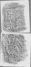 DE2130-B173A_218v - Typ:0 - ID: 149582 - Eintrag Nr.: 184 Wasserzeichen DE2130-B173A_218v