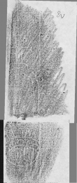 DE2130-B175_8v - Typ:0 - ID: 149619 - Eintrag Nr.: 137 Wasserzeichen DE2130-B175_8v
