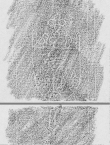 DE2130-B177_338r - Typ:0 - ID: 149664 - Eintrag Nr.: 72 Wasserzeichen DE2130-B177_338r