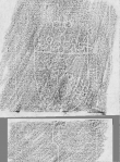 DE2130-B177_301r - Typ:0 - ID: 149671 - Eintrag Nr.: 74 Wasserzeichen DE2130-B177_301r