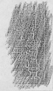 DE2130-B187_355v - Typ:0 - ID: 150121 - Eintrag Nr.: 191 Wasserzeichen DE2130-B187_355v