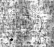 IS5000-02-0183_5v - Typ:0 - ID: 150357 - Eintrag Nr.: 4 Wasserzeichen IS5000-02-0183_5v