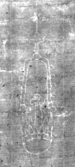 IS5000-02-0264_1r - Typ:0 - ID: 150451 - Eintrag Nr.: 268 Wasserzeichen IS5000-02-0264_1r