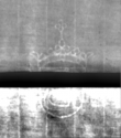 IS5000-04-0267II_1v - Typ:0 - ID: 150829 - Eintrag Nr.: 30 Wasserzeichen IS5000-04-0267II_1v
