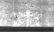 IS4000-IS4000-Bps-B-VIII2_73 - Typ:0 - ID: 150872 - Eintrag Nr.: 248 Wasserzeichen IS4000-IS4000-Bps-B-VIII2_73