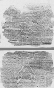 DE2130-C19_5v - Typ:0 - ID: 151083 - Eintrag Nr.: 149 Wasserzeichen DE2130-C19_5v