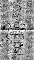 Wasserzeichen IS6000-Lbs-04-1974_73r