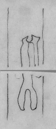 Wasserzeichen DE2130-C71_469v