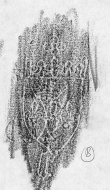 DE2130-B91_6 - Typ:0 - ID: 152302 - Eintrag Nr.: 84 Wasserzeichen DE2130-B91_6
