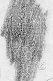 DE2130-B91_47 - Typ:0 - ID: 152303 - Eintrag Nr.: 85 Wasserzeichen DE2130-B91_47