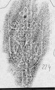 DE2130-B91_224 - Typ:0 - ID: 152306 - Eintrag Nr.: 87 Wasserzeichen DE2130-B91_224