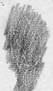 DE2130-B91_199 - Typ:0 - ID: 152307 - Eintrag Nr.: 88 Wasserzeichen DE2130-B91_199