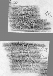 DE2130-B93_183 - Typ:0 - ID: 152371 - Eintrag Nr.: 154 Wasserzeichen DE2130-B93_183