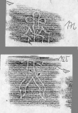 DE2130-B93_176 - Typ:0 - ID: 152374 - Eintrag Nr.: 155 Wasserzeichen DE2130-B93_176