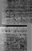 DE8850-80.4A8_3 - Typ:0 - ID: 152502 - Eintrag Nr.: 93 Wasserzeichen DE8850-80.4A8_3