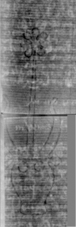 DE8850-80.4A8_71 - Typ:0 - ID: 152510 - Eintrag Nr.: 1 Wasserzeichen DE8850-80.4A8_71