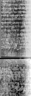 DE8850-80.4A8_56 - Typ:0 - ID: 152514 - Eintrag Nr.: 7 Wasserzeichen DE8850-80.4A8_56