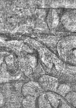 Wasserzeichen DE4220-Piranesi-35-5-2