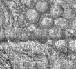 Wasserzeichen DE4220-Piranesi-35-6-1