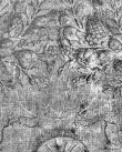 Wasserzeichen DE4220-Piranesi-35-11-1