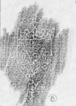 DE2130-B99_162 - Typ:0 - ID: 152645 - Eintrag Nr.: 91 Wasserzeichen DE2130-B99_162